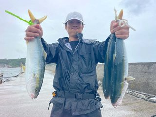 ハマチ