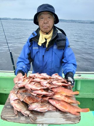 カサゴ