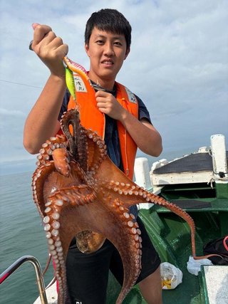 タコ
