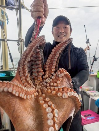 タコ