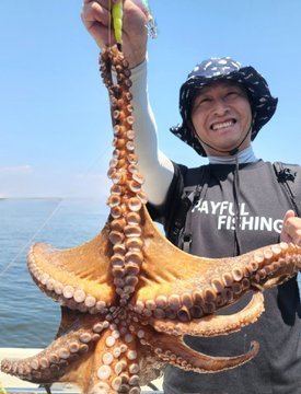 タコ