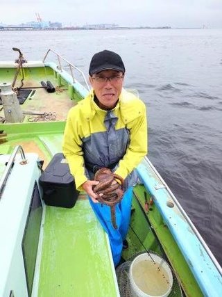 タコ