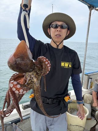 タコ