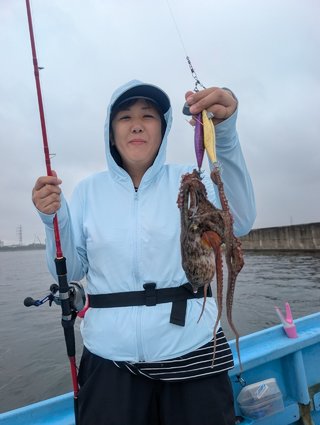 マダコ