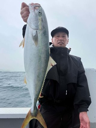 ヒラマサ