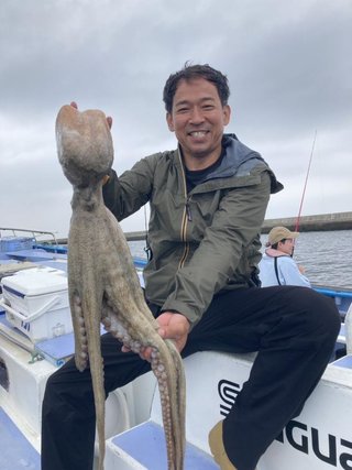マダコ