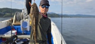 マゴチ