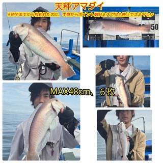シロアマダイ