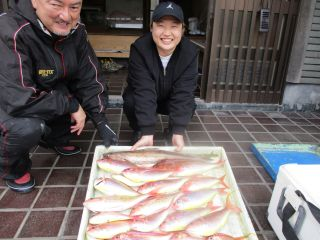 イトヨリ