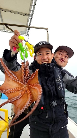 タコ
