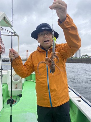マダコ