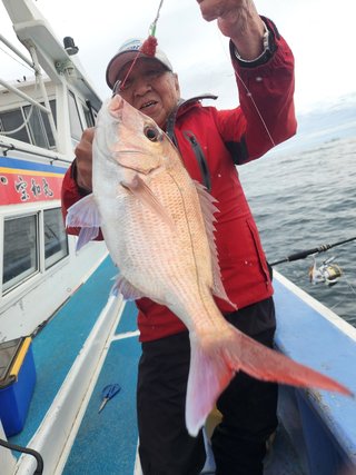 マダイ