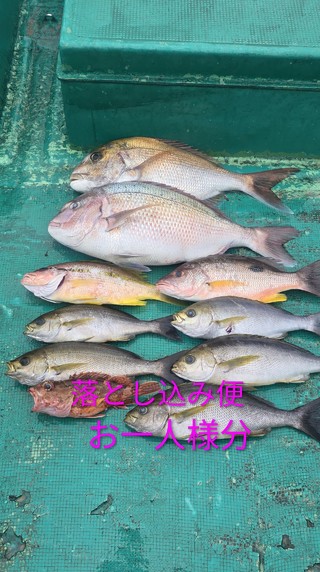 マダイ