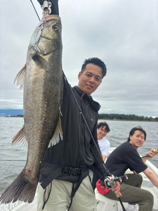 シーバス