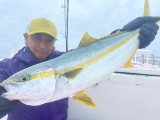 ヒラマサ