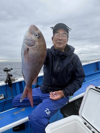 マダイ