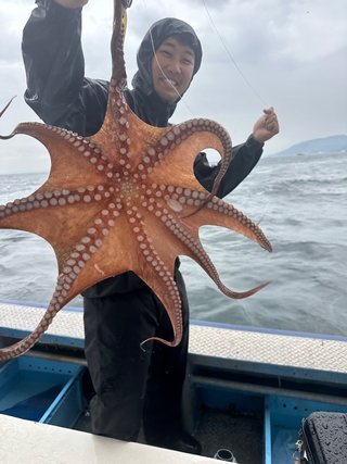 タコ