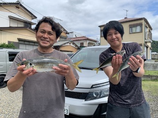 アジ