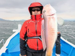 シロアマダイ