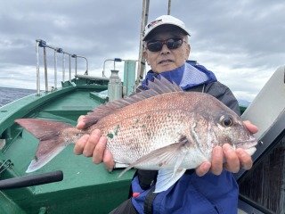 マダイ