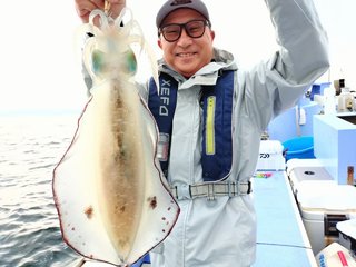 アオリイカ