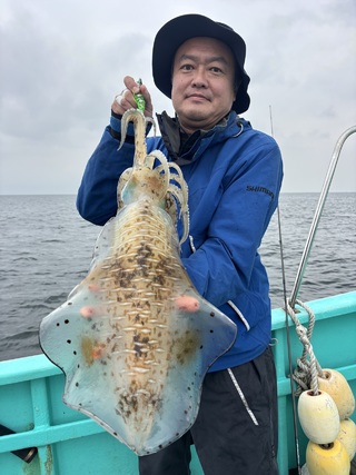 アオリイカ