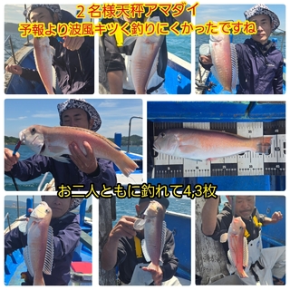 シロアマダイ