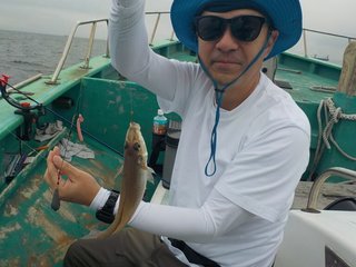 シロギス