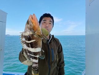 アオハタ