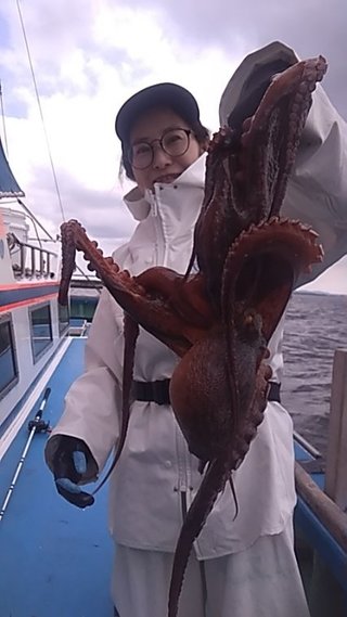 マダコ