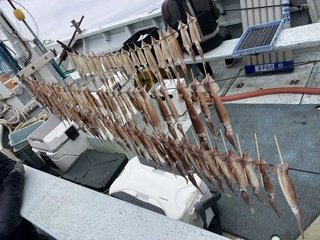 ムギイカ