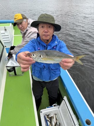 マアジ