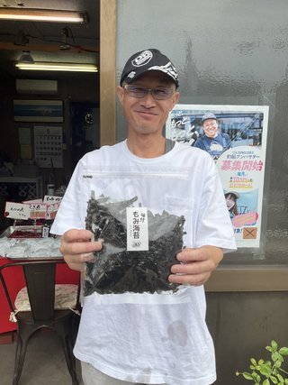 マダコ