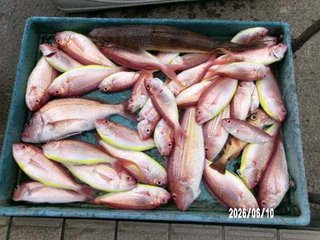 タイ