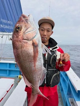 マダイ