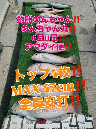 シロアマダイ