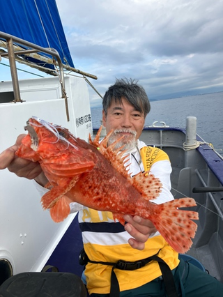 オニカサゴ