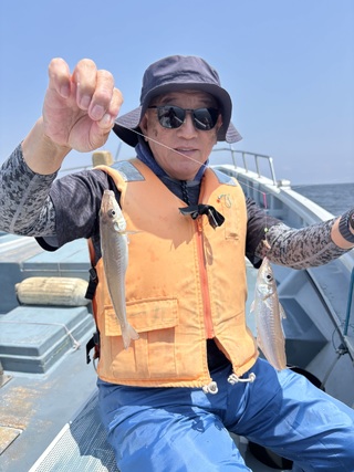 シロギス