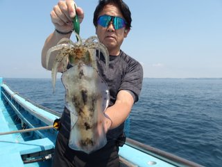 アオリイカ