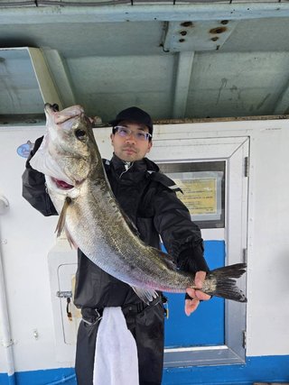 シーバス
