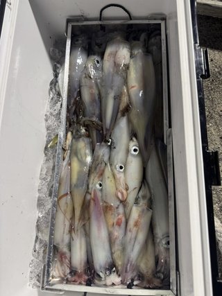 アジ