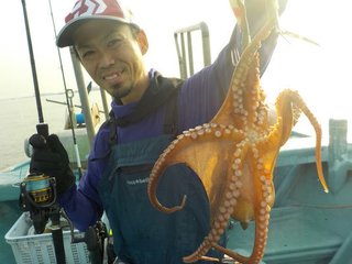 タコ