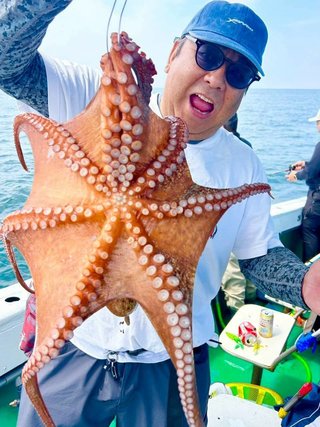 タコ