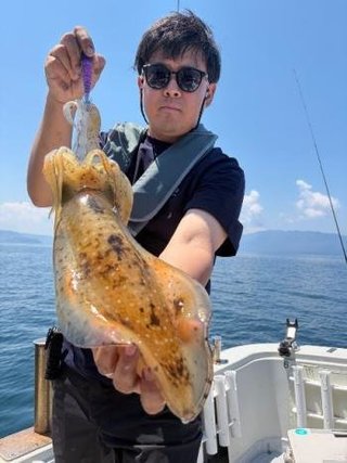 アオリイカ