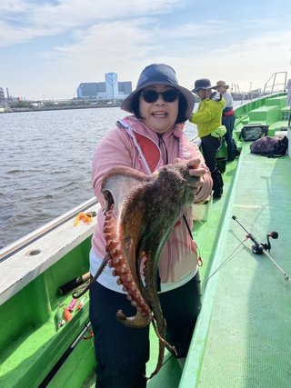 マダコ