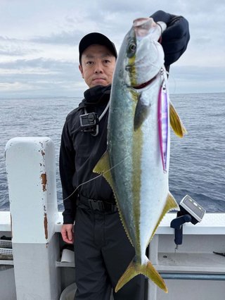 ヒラマサ
