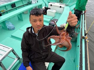 タコ