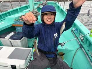 シロギス