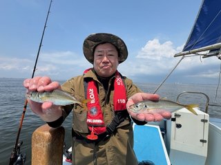 マアジ