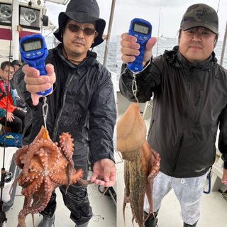 タコ